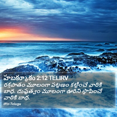 హబక్కూకు 2:12 TELIRV Bible Verse Image