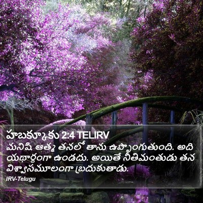 హబక్కూకు 2:4 TELIRV Bible Verse Image