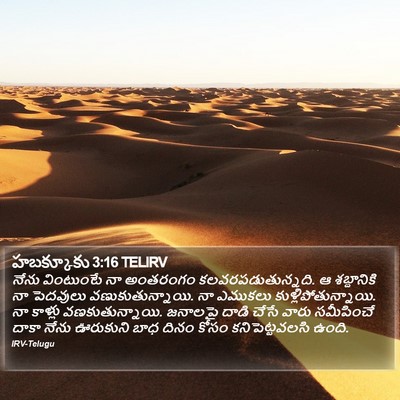 హబక్కూకు 3:16 TELIRV Bible Verse Image