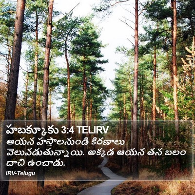 హబక్కూకు 3:4 TELIRV Bible Verse Image