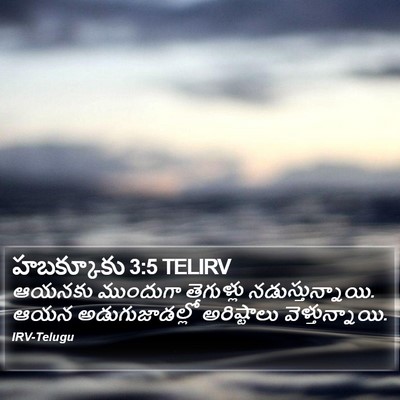 హబక్కూకు 3:5 TELIRV Bible Verse Image
