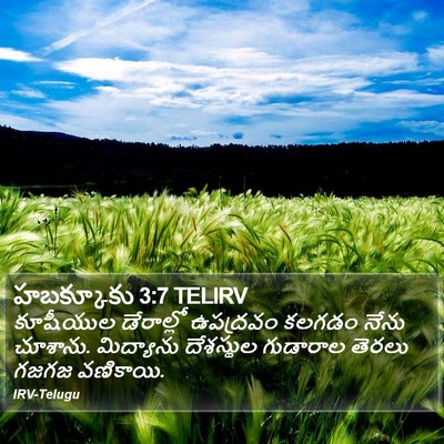 హబక్కూకు 3:7 TELIRV Bible Verse Image