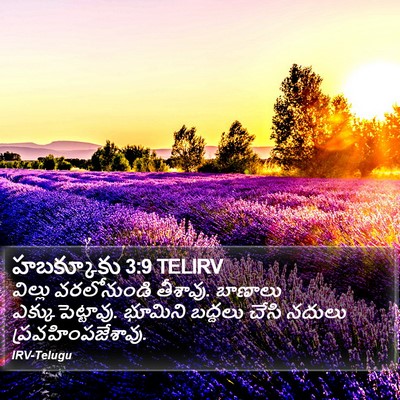 హబక్కూకు 3:9 TELIRV Bible Verse Image