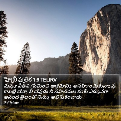 హెబ్రీ పత్రిక 1:9 TELIRV Bible Verse Image