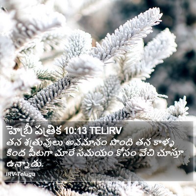 హెబ్రీ పత్రిక 10:13 TELIRV Bible Verse Image
