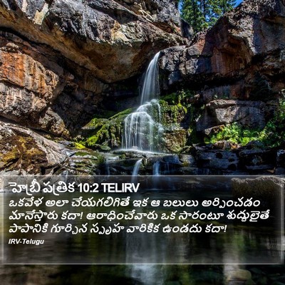 హెబ్రీ పత్రిక 10:2 TELIRV Bible Verse Image