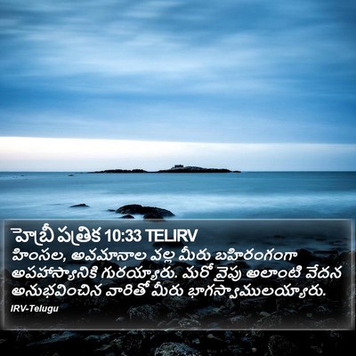 హెబ్రీ పత్రిక 10:33 TELIRV Bible Verse Image