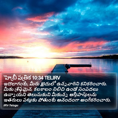హెబ్రీ పత్రిక 10:34 TELIRV Bible Verse Image