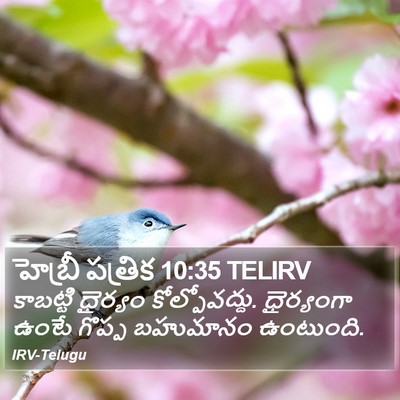 హెబ్రీ పత్రిక 10:35 TELIRV Bible Verse Image