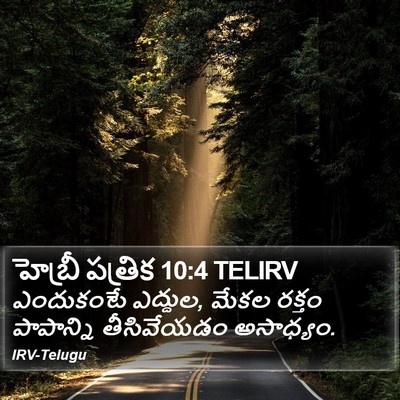 హెబ్రీ పత్రిక 10:4 TELIRV Bible Verse Image