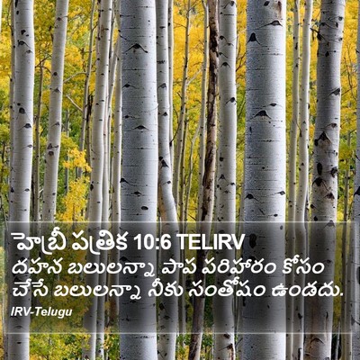 హెబ్రీ పత్రిక 10:6 TELIRV Bible Verse Image