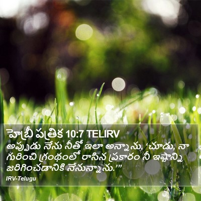 హెబ్రీ పత్రిక 10:7 TELIRV Bible Verse Image