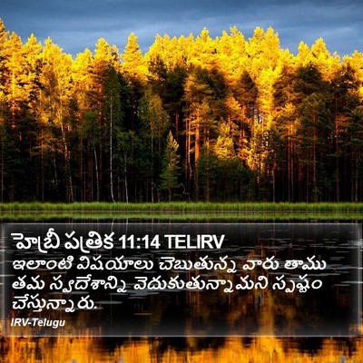 హెబ్రీ పత్రిక 11:14 TELIRV Bible Verse Image