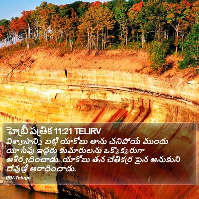 హెబ్రీ పత్రిక 11:21 TELIRV Bible Verse Image