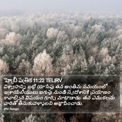 హెబ్రీ పత్రిక 11:22 TELIRV Bible Verse Image