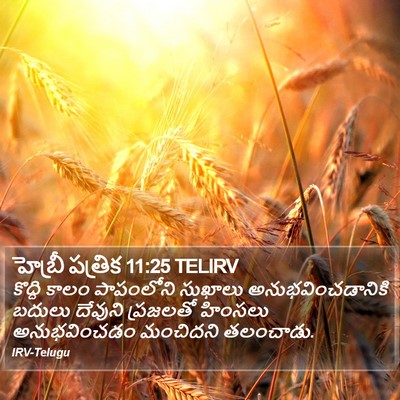 హెబ్రీ పత్రిక 11:25 TELIRV Bible Verse Image
