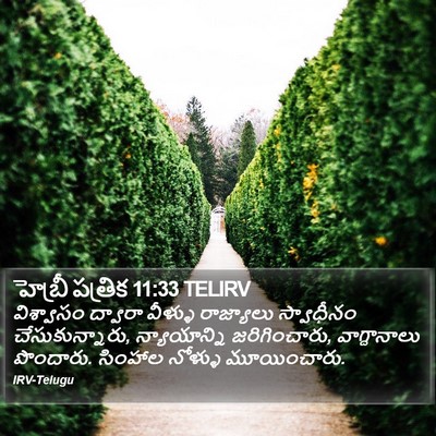 హెబ్రీ పత్రిక 11:33 TELIRV Bible Verse Image
