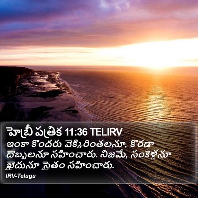 హెబ్రీ పత్రిక 11:36 TELIRV Bible Verse Image
