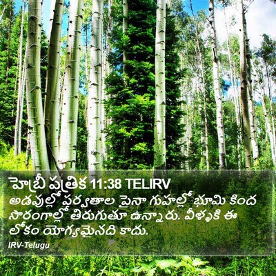 హెబ్రీ పత్రిక 11:38 TELIRV Bible Verse Image