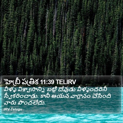 హెబ్రీ పత్రిక 11:39 TELIRV Bible Verse Image