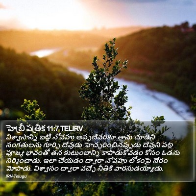 హెబ్రీ పత్రిక 11:7 TELIRV Bible Verse Image