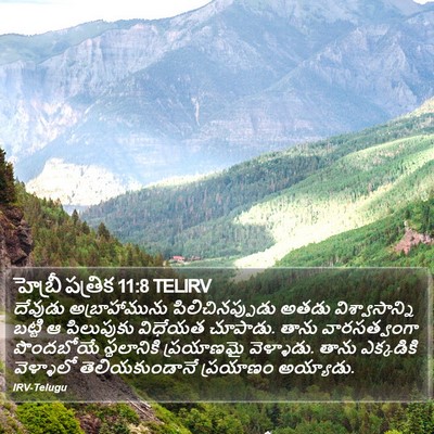 హెబ్రీ పత్రిక 11:8 TELIRV Bible Verse Image