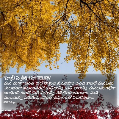 హెబ్రీ పత్రిక 12:1 TELIRV Bible Verse Image