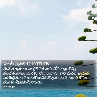 హెబ్రీ పత్రిక 12:10 TELIRV Bible Verse Image
