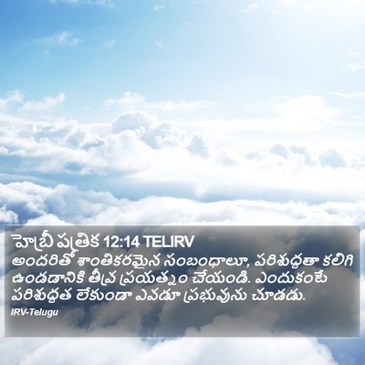 హెబ్రీ పత్రిక 12:14 TELIRV Bible Verse Image