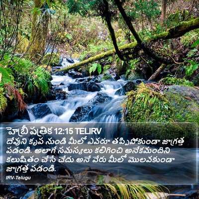 హెబ్రీ పత్రిక 12:15 TELIRV Bible Verse Image