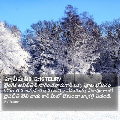 హెబ్రీ పత్రిక 12:16 TELIRV Bible Verse Image