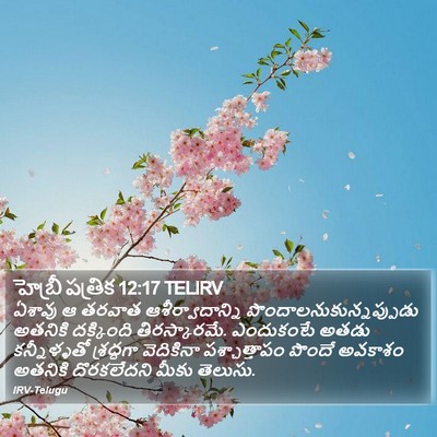 హెబ్రీ పత్రిక 12:17 TELIRV Bible Verse Image