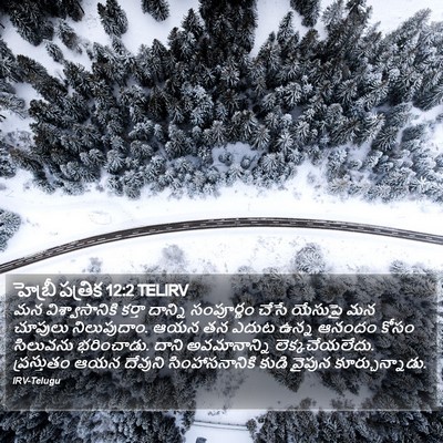 హెబ్రీ పత్రిక 12:2 TELIRV Bible Verse Image