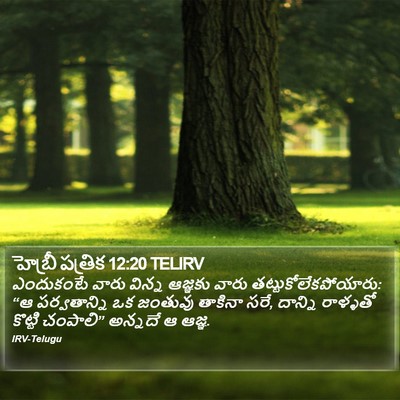 హెబ్రీ పత్రిక 12:20 TELIRV Bible Verse Image