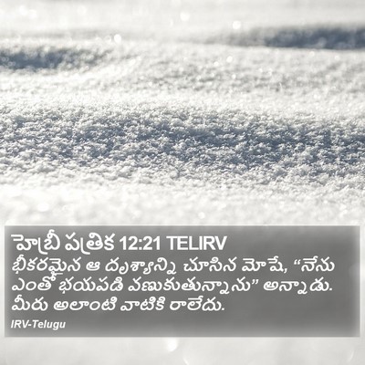 హెబ్రీ పత్రిక 12:21 TELIRV Bible Verse Image