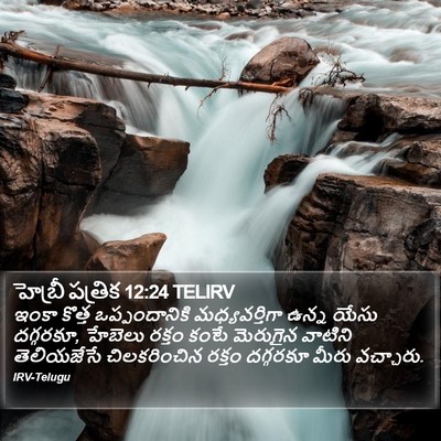 హెబ్రీ పత్రిక 12:24 TELIRV Bible Verse Image