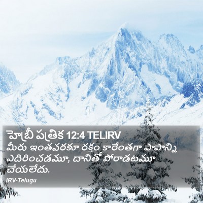 హెబ్రీ పత్రిక 12:4 TELIRV Bible Verse Image