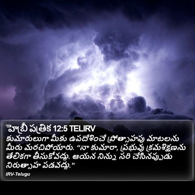 హెబ్రీ పత్రిక 12:5 TELIRV Bible Verse Image