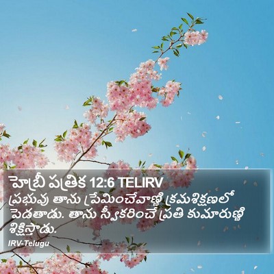 హెబ్రీ పత్రిక 12:6 TELIRV Bible Verse Image