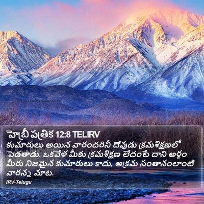 హెబ్రీ పత్రిక 12:8 TELIRV Bible Verse Image