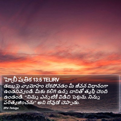 హెబ్రీ పత్రిక 13:5 TELIRV Bible Verse Image
