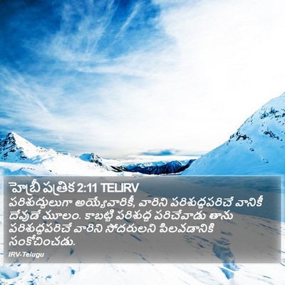 హెబ్రీ పత్రిక 2:11 TELIRV Bible Verse Image
