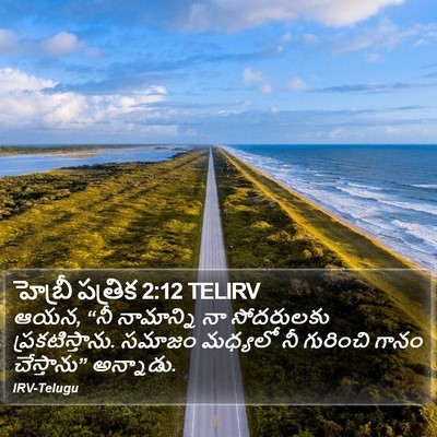 హెబ్రీ పత్రిక 2:12 TELIRV Bible Verse Image