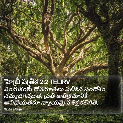 హెబ్రీ పత్రిక 2:2 TELIRV Bible Verse Image