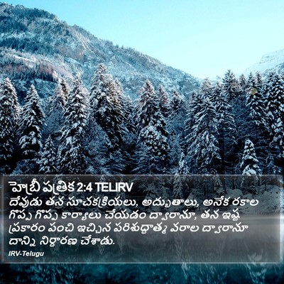 హెబ్రీ పత్రిక 2:4 TELIRV Bible Verse Image