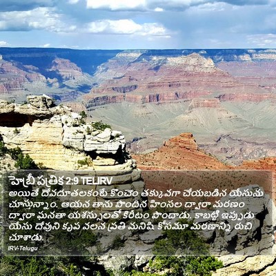 హెబ్రీ పత్రిక 2:9 TELIRV Bible Verse Image