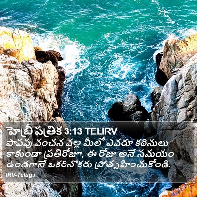 హెబ్రీ పత్రిక 3:13 TELIRV Bible Verse Image