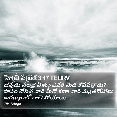 హెబ్రీ పత్రిక 3:17 TELIRV Bible Verse Image