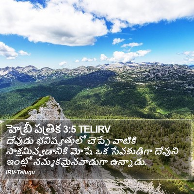 హెబ్రీ పత్రిక 3:5 TELIRV Bible Verse Image