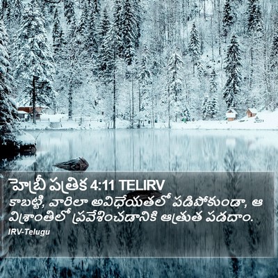 హెబ్రీ పత్రిక 4:11 TELIRV Bible Verse Image